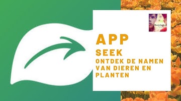 Seek by iNaturalist - Ontdek de namen van dieren en planten met deze handige app