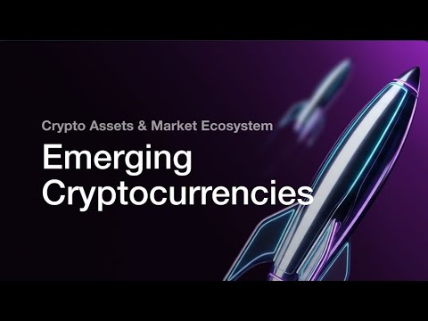 7. NEAR Protocol: Blockchain Ramah Developer dan User