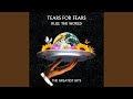 Tears For Fears - Rule the World: The Greatest Hits