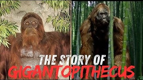 Unveiling Gigantopithecus: The Giant Ape of the Ancient World