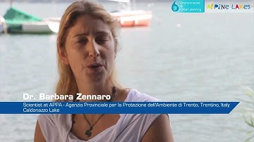 SILMAS - Spatial planning