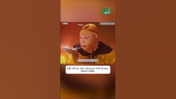 Lý do Tôn Ngộ Không sử dụng 3 sợi lông cứu mạng của Quan Âm Bồ Tát #tayduky