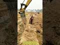 Yam Harvesting Tech: Excavator Turns into “Root Digger”.