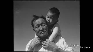 japanese internment camp documentary 2008