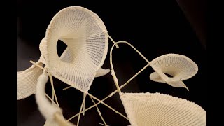 Lesbian sikiklari eshak