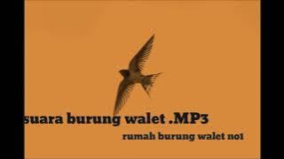 suara burung walet. MP3. 100%