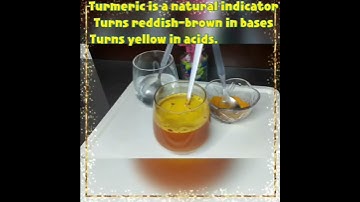 SCIENCE EXPERIMENT:  TURMERIC A NATURAL INDICATOR