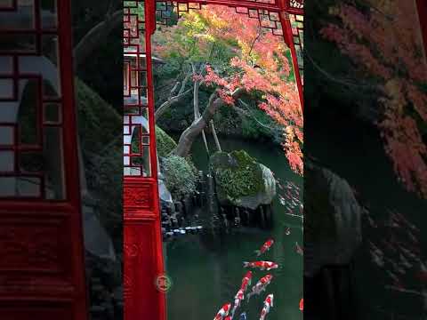 ASTONISHING SHOCKING $1,000,000 JAPANESE GARDEN WITH A KOI FISH POND!!!