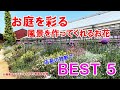【BEST5シリーズ】お庭を彩る 風景を作ってくれるお花のご紹介♪