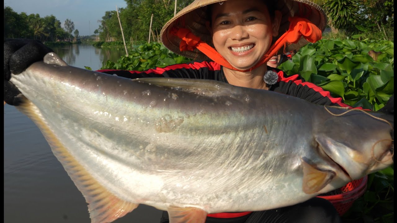 1561 / Trở lại sông Cái Bé trúng gần 20 ký cá tra