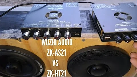 Wuzhi Audio ZK-AS21 vs ZK-HT21 Audio Test. Who wins?