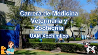 Carrera de Medicina Veterinaria Zootecnia de la UAM Xochimilco