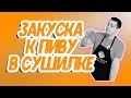 Рецепт закуски к пиву: сушеные кальмары и мидии в сушилке Суховей