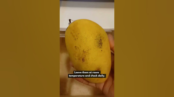 Ripen Mangoes Faster Using Rice Hack!