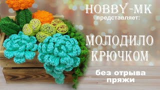 картинка: Молодило крючком без отрыва нити (авторский МК Светланы Кононенко)