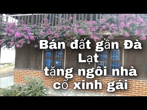 thuê xe máy tại đà nẵng 2022 Update Ai muốn sống ở Đà Lạt thì mua căn này.Thuận tiện mọi thứ