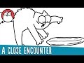 Simon’s Cat – Dinner Date: Starters