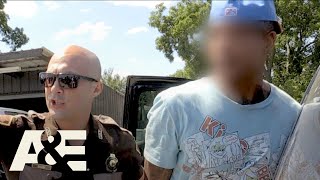 Live Pd Five Car Hit And Run Season 3 A&E