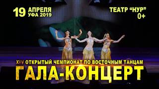 Федерация Джамиля представляет Гала концерт 19.04.19 Федерация Джамиля представляет Гала концерт 19.04.19