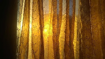 My Magick- Inspiration,OBE,Math+Music+Science. Trust & Protection.Vevaliah, Nememiah & Heziel. Dee!