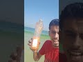 صل وا على من قال أمتي أمتي وهو يدعوا بالرحمة لأمتــه اللهم صل وسلم وبارك على سيدنا محمد صل وا على من قال أمتي أمتي وهو يدعوا بالرحمة لأمتــه اللهم صل وسلم وبارك على سيدنا محمد