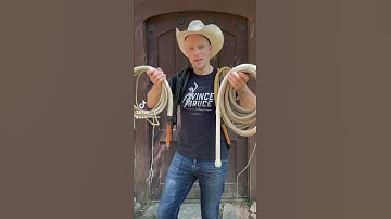 Thumbnail of Cracking Long Whips