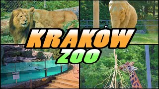 KRAKÓW ZOO  Ogród Zoologiczny w Krakowie  Poland (4K)