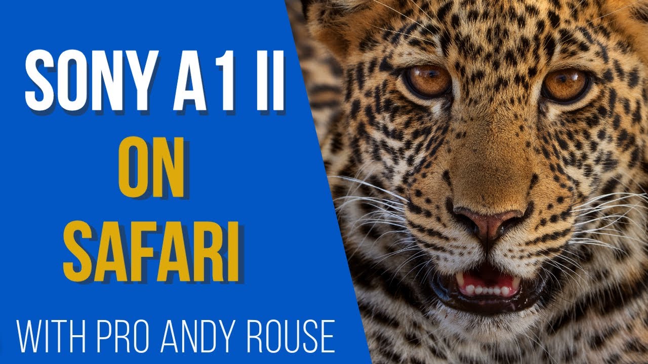Andy Rouse tries pre capture, speed boost and new Sony A1 Mk2 autofocus ...
