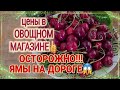 Ейск🌹Цены в овощном приятно удивили. Созрела черешня. Осторожно - ямы на дороге!!!