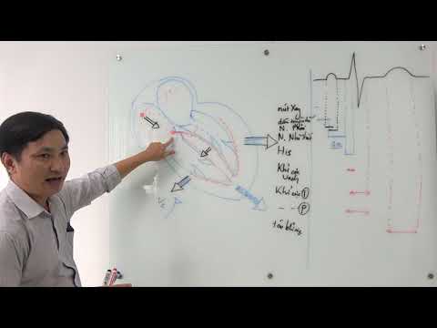 Các thành phần sóng điện tim ECG