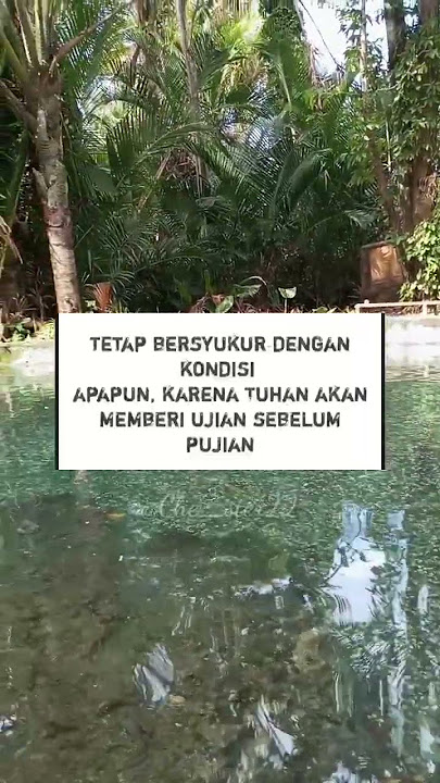 Story rohani Kristen,,, Tetap bersyukur 🙏#storywa #rohani_kristen