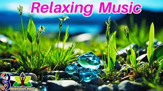 : Beautiful Relaxing Music - Stop Overthinking, Stress Relief Music, Sleep Music, Calming Music #64