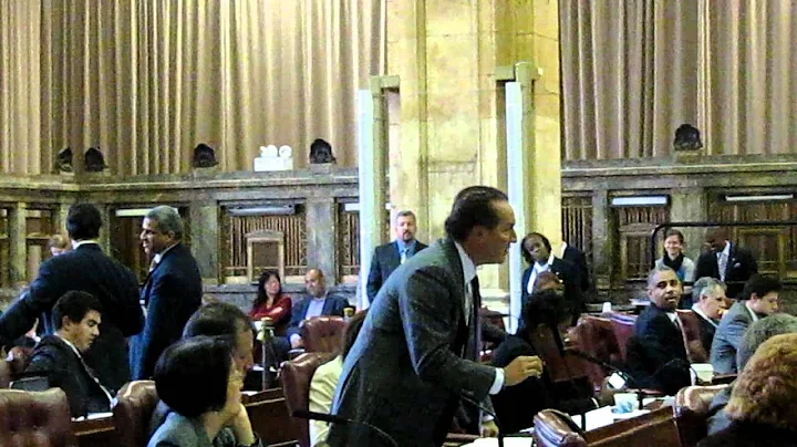 Council Member Vallone's floor speech against Intro 665 - Animal Shelter Bill