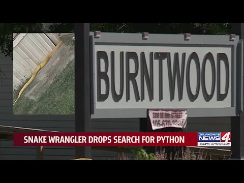 Snake wrangler drops search for python