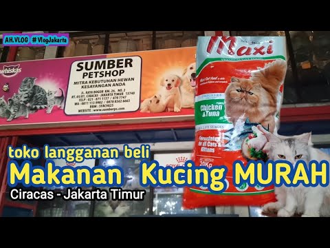 Distributor makanan kucing