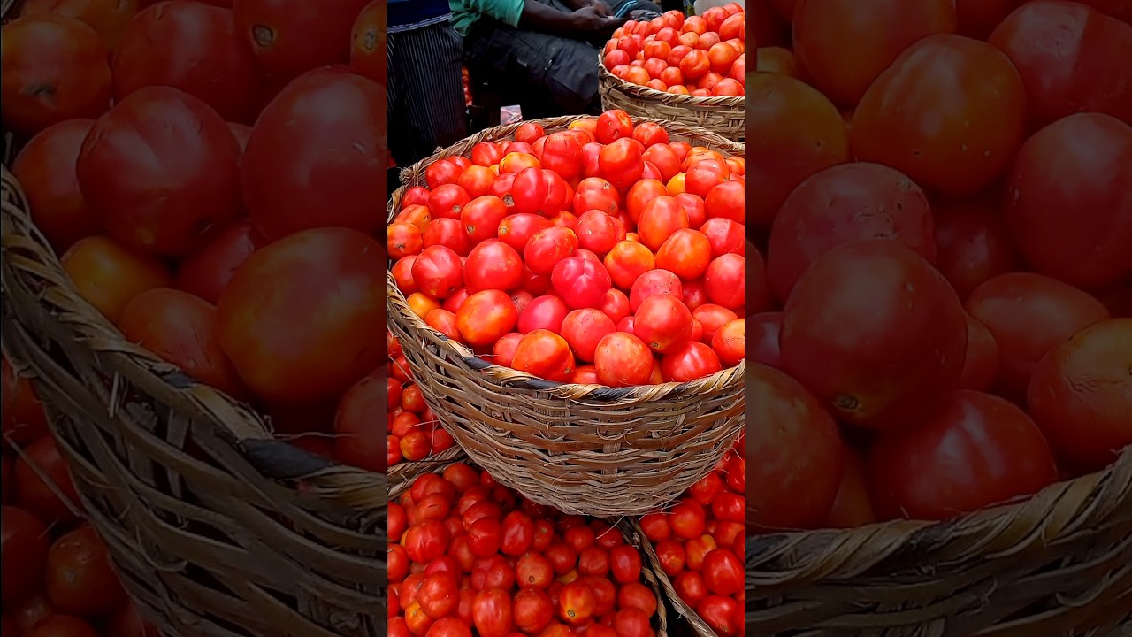 price of Tomatoes In Mile market in Lagos 
