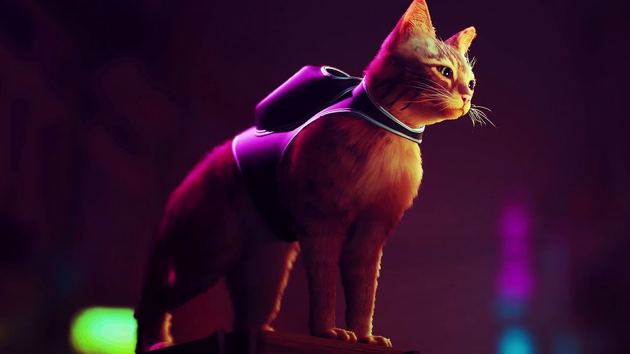 Stray: jogo do gato quebrou recorde de usuários simultâneos na