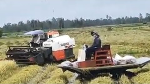 Máy Cắt Lúa Kubota Dc70 | 28 - đất ngập nước chạy phà phà như cao tốc