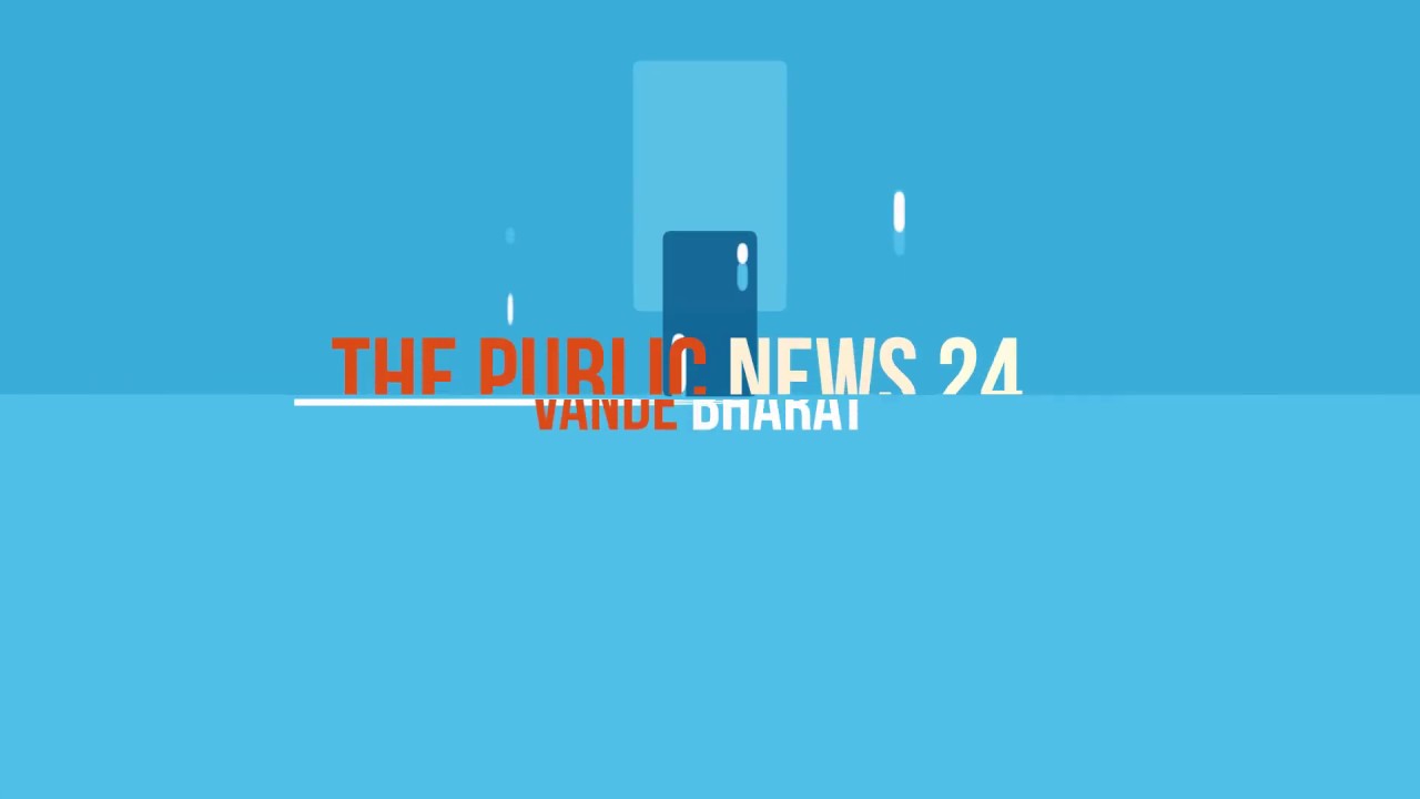 The Public News 24