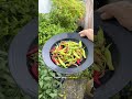 Cabe Terserang Patek ??? #berkebun #gardening #youtubeshorts