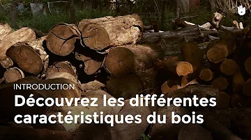 Quelles sont les propriétés physiques du bois ?