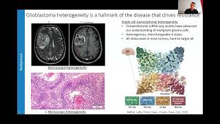 Myeloid Network Seminar Series - December 14, 2023