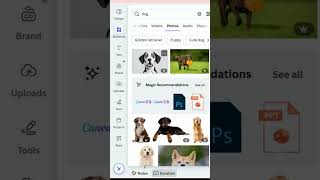 👉HOW TO REMOVE BACKGROUND IN CANVA👀 #canva Canva Tutorials for Beginners