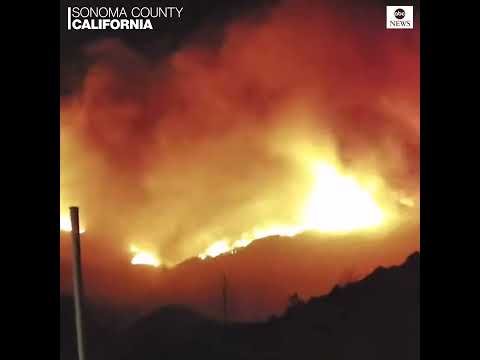 კალიფორნიაში ტყის ძლიერ ხანძარს ებრძვიან - საფრთხის „წითელი დონე“ გამოცხადდა