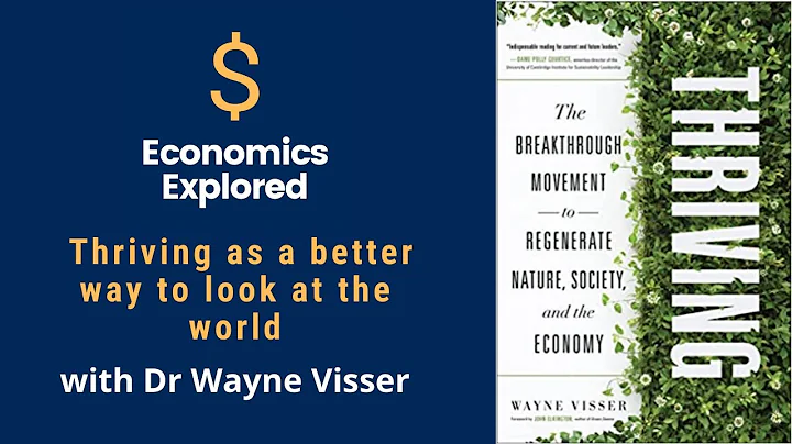 Cambridge pracademic Wayne Visser on his new book Thriving - why we can be positive about the future