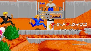 超希少 AMI 2008 ケイブ アーケードゲーム カレンダー アーケードアーカイブス エスケープキッズ | アーケードアーカイブス