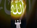 #IslamicShorts #Tawhid #Allah #Quran #Hadith #IslamicReminder #MuslimUmmah #Dawah #DeenerAloGhor