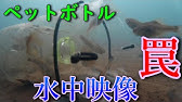 テナガエビ ペットボトル仕掛け 作り方 Youtube