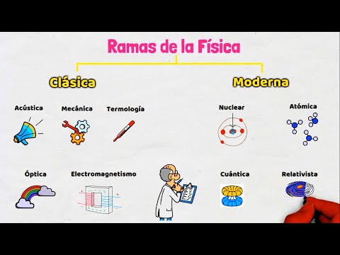 Ramas de la