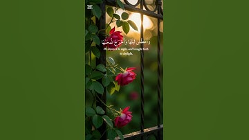 #قرآن #تلاوة_خاشعة #راحة_نفسية #اكسبلور #المصحف #shortvideo
